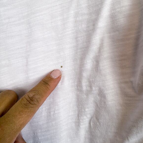 Alex Mill Womens Crew Tee Shirt Cotton Light Pink - M - Picture 7 of 9